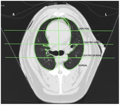 Effects of a stepwise alveolar recruitment maneuver on lung volume distribution in dogs assessed by computed tomography